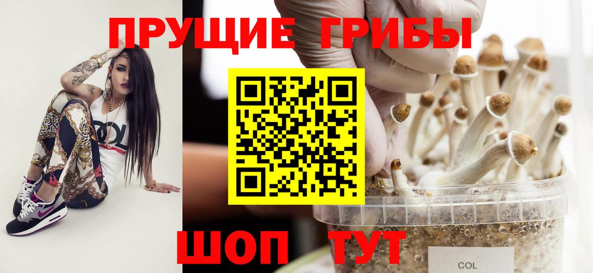 Галлюциногенные грибы MAGIC MUSHROOMS Майкоп